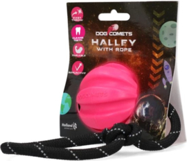 Ballen & Apporteren