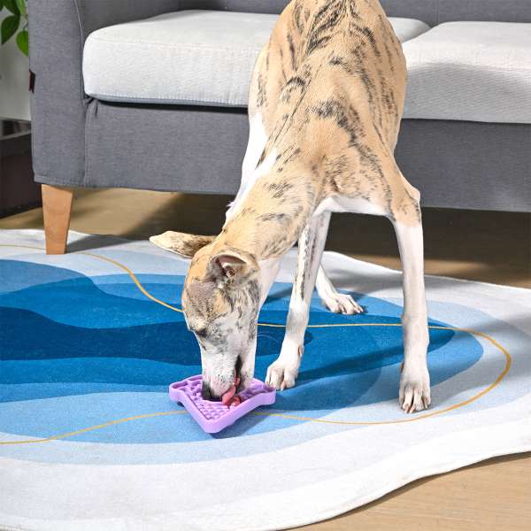 HugSmart Dog Bowl Pet Lickmat – Ice Cream Slow Feeder – Likmat Hond