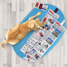 Hondenspeelgoed Kong Daily Newspaper XL - hondenpuzzel