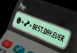 Hondenspeelgoed P.L.A.Y. Pet  Rekenmachine