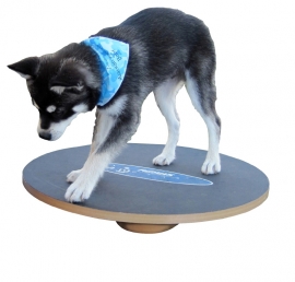 FitPAWS Wobble Board 50 cm