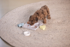 Hondenspeelgoed Beeztees Puppy Trainingsspel Lot - hondenpuzzel