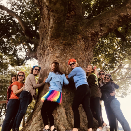 Wandeling van of naar Zoete Lieve Gerritje of een andere locatie