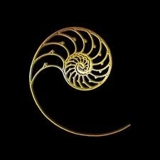 Cardas Neutral Reference