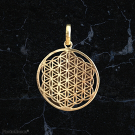 Hanger Flower of Life Messing