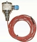 Thermowell temperatuur sensor Pt1000 EEx ia