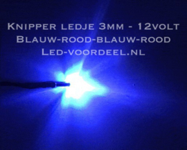 Knipper ledje 3mm Blauw -Rood 12 Volt