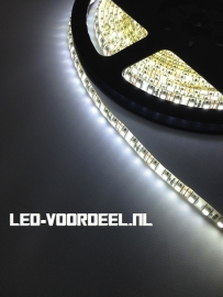 LED Strip - Helder wit - 600 LEDs - IP65 - ZV