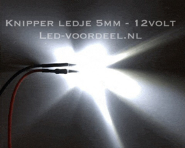 Knipper ledje 5mm Wit 12 Volt