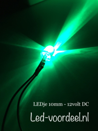 LEDjes 10mm Groen  12 Volt