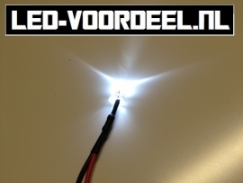 LEDjes 5mm Wit  12 Volt