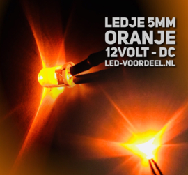 LEDjes 5mm Oranje  12 Volt