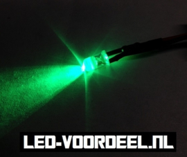 LEDjes 5mm Groen  12 Volt