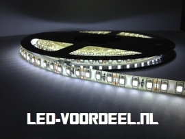 LED Strip - Helder wit - 600 LEDs - IP65 - ZV