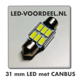 Auto Interieur 31mm led Canbus Wit CW5