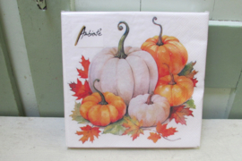 Servetten pompoen  Season mix ( normaal formaat)