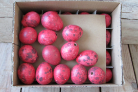 Kievit eitjes 54 stuks rood (pasen nr 14)