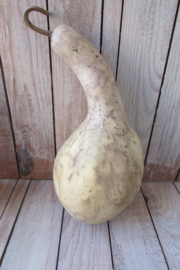 Gedroogde 27x11 cm kalebas (nr 10)