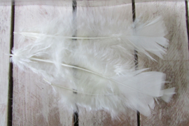 Doos veren creme/zacht geel nr 8