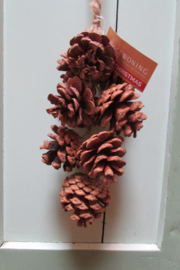 Dennenappel tros 30 cm (nr39)