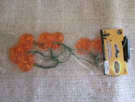 Pompoenketting met licht