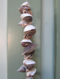 Schelpenslinger 50 cm van kleine schelpjes (nr 30)