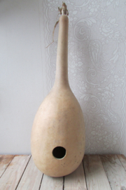 Gedroogde fleskalebas  50x17 cm (nr19)