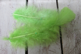 doos veren fel groen nr 12