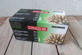 24 LED binnen/buiten (kerst nr 66)