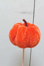 Pompoen op steker (velours) oranje