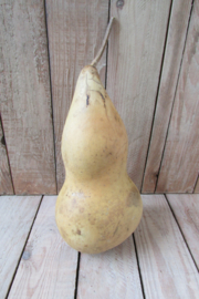 Gedroogde kalebas 22x 10 cm (nr45)