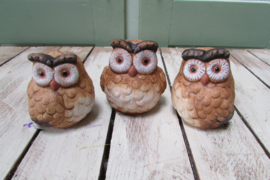 Uiltjes 3 stuks