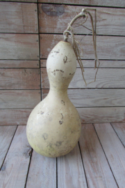 Gedroogde kalebas 29x13 cm ( nr 51)