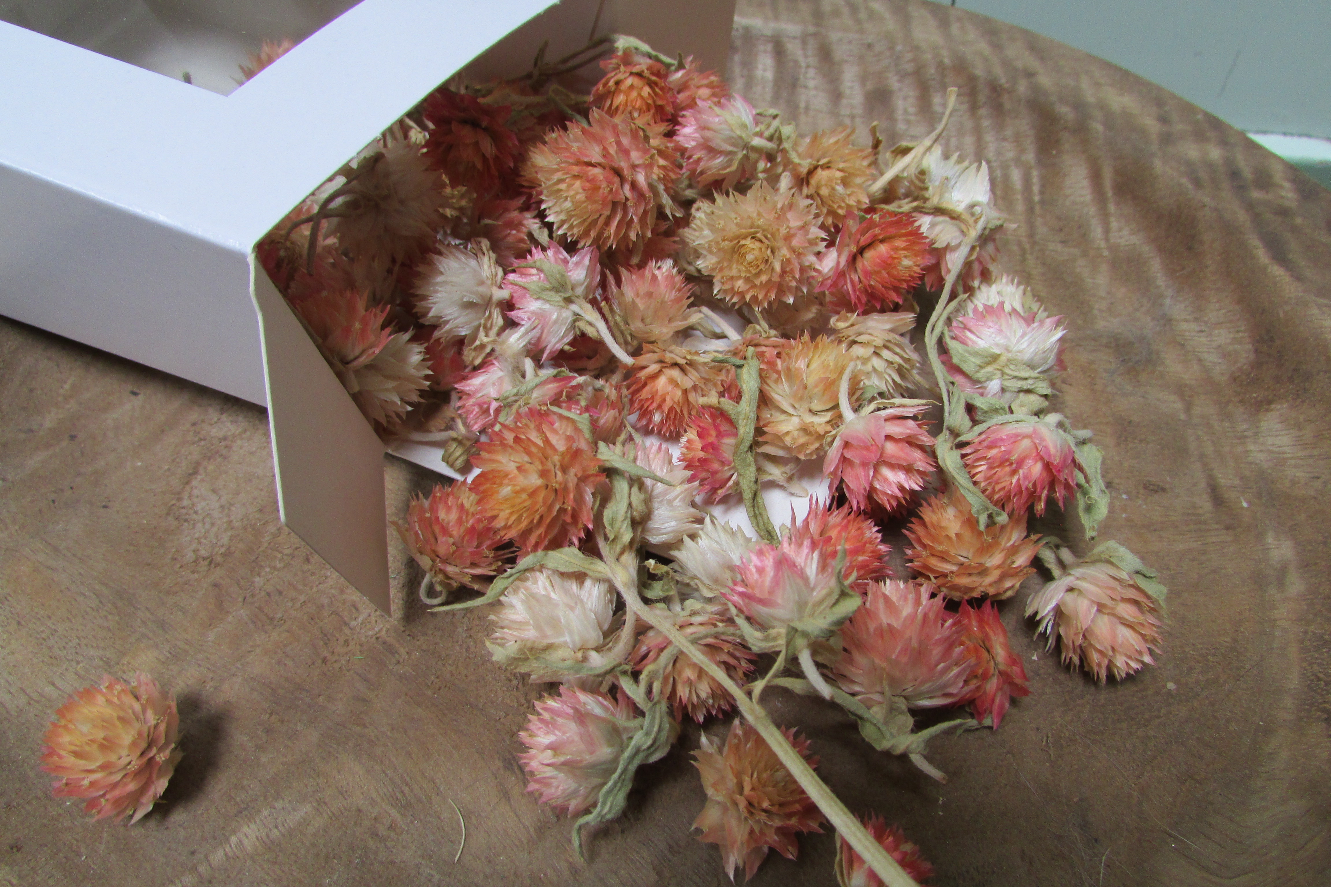 Droogbloemetje 15 gram zalm/roze (D247)
