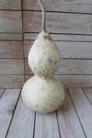 Gedroogde fleskalebas 25x14 cm (nr 54)