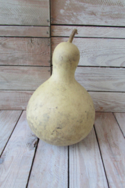 Gedroogde kalebas 22x14 cm (nr 59)