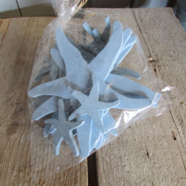 Zeesterren (zee nr 15)