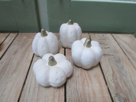 Pompoentjes wit van steen 6 cm (per 4 stuks)