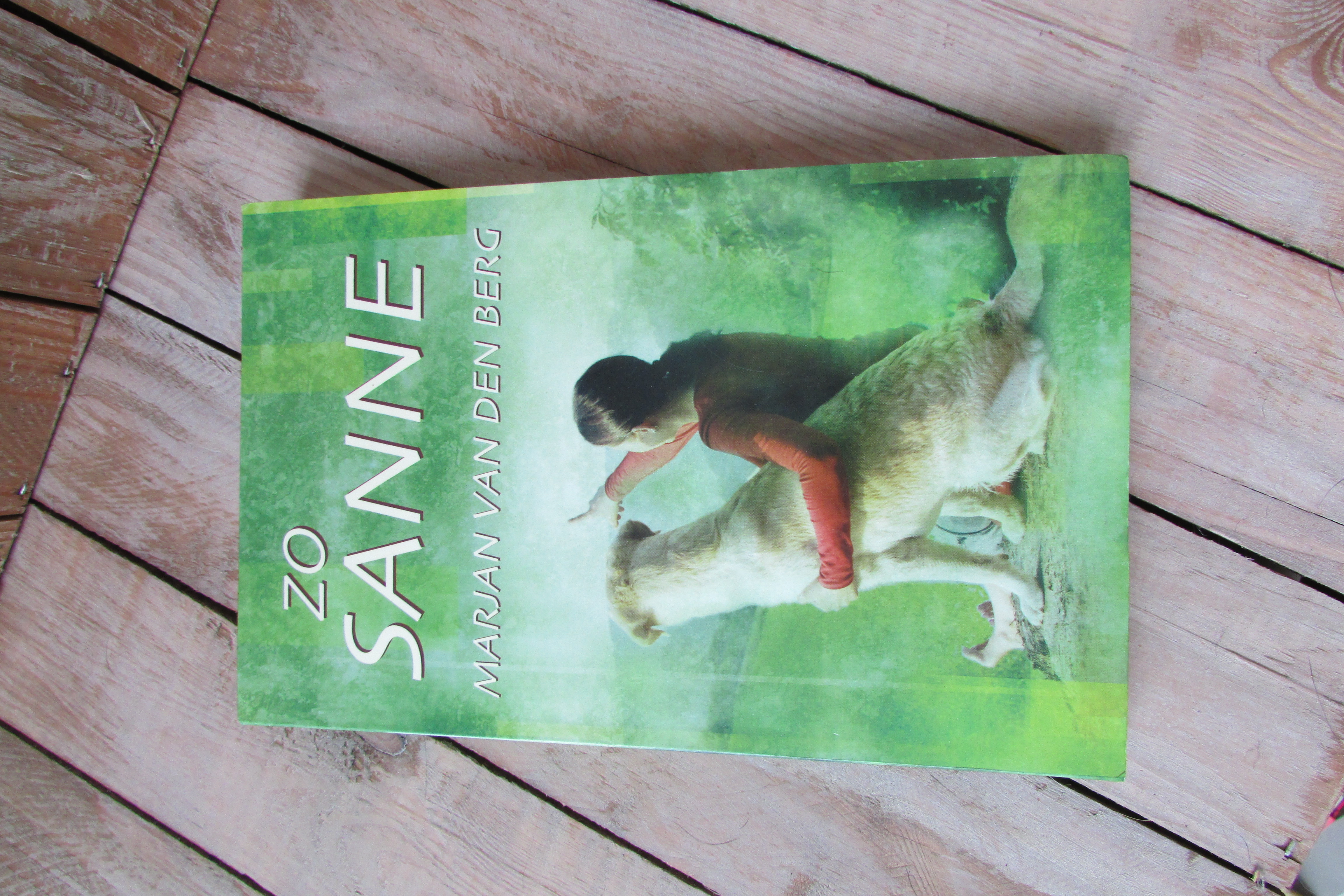 Boek Zo Sanne
