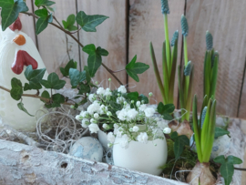 Lentefeest DIY pakket