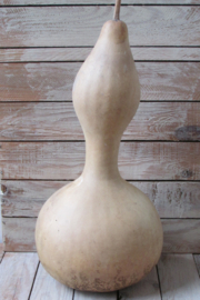 Gedroogde kalebas 45x22 cm (nr 24)