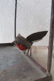 Vogelhuis voederhuis van metaal met vogeltje 30x30 cm