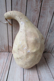 Gedroogde fleskalebas 29x15 cm (Nr44)