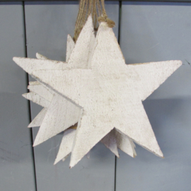 Ster 15 cm (nr48)