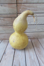 Gedroogde fleskalebas 27x13 cm (nr47)