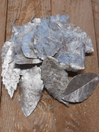 Blaadjes zilver 16 stuks (K21)