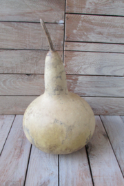 Gedroogde fleskalebas 24x18 cm (nr17)