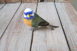 Vogeltje oranje