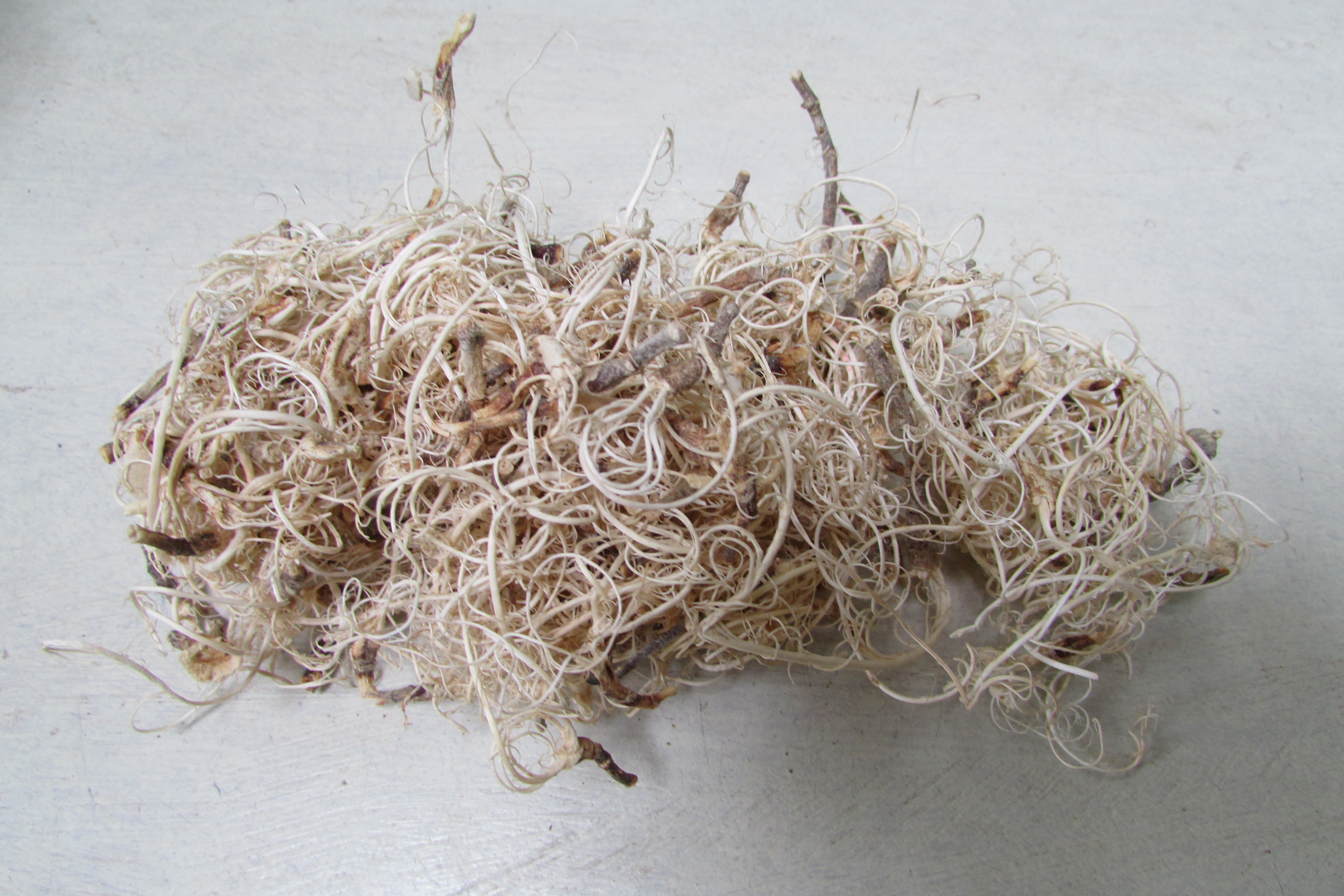 Kruldeco naturel 35 gram (D250)