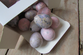 Kievits eitjes roze tinten 25 stuks (pasen nr 10)